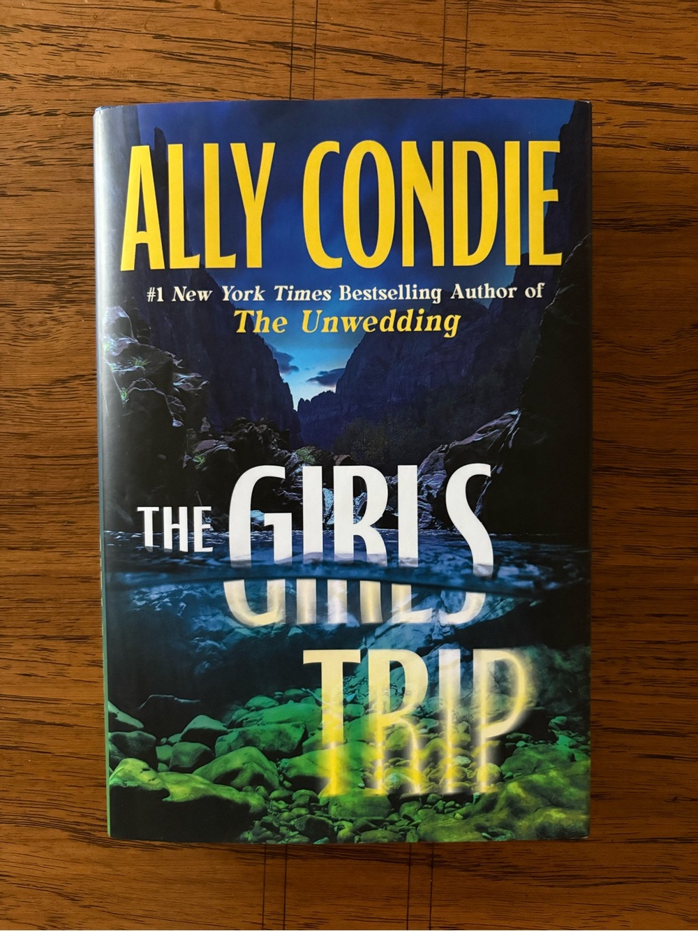 💛 The Girls Trip Hardcover Novel by Ally Condie 💛